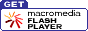 Download Flash Player free
